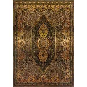  New Tabriz Durable Area Rugs Carpet Brussels Brown 8x11 