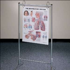 Anatomical Chart Company   Portable Chart Stand  