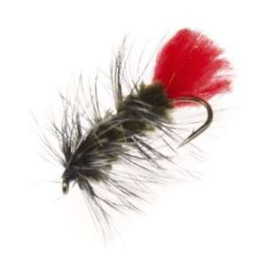  Academy Sports Superfly Wooly Worm 3/4 Nymph Sports 