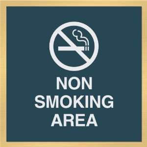 Intersign Sign 6X6 Subsurface General Non Smoking Area   Model mqx 