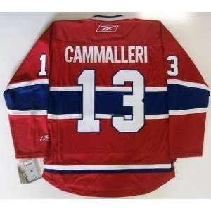  Mike Cammalleri Montreal Canadiens Reebok Premier Jersey 