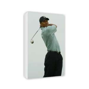  Tiger Woods   Canvas   Medium   30x45cm