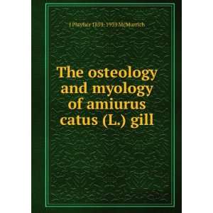   of amiurus catus (L.) gill. J Playfair 1859 1939 McMurrich Books