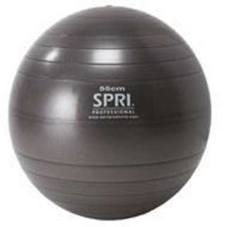 SPRI SXBP55SL Professional Xercise Ball (55cm Slate) 759026475971 
