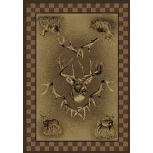  Marshfield Area Rug Lodge 8 X 11 Suede