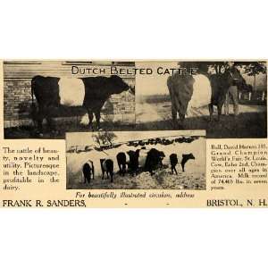  1907 Ad Dutch Bleted Cattle Frank R. Sanders Bristol NH 