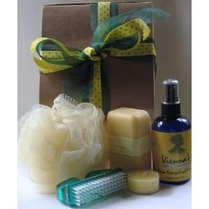  Citrus Aromatherapy Gift Set. Great Holiday Gift Beauty