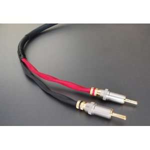  Blue Note Speaker Cables Electronics
