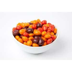 Chocolate Covered Toasted Corn Nuts (10 Pound Case)  