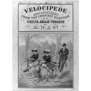  Velocipede   choicest selection of vuelta abajo tobacco 