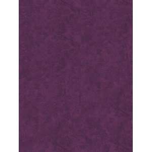  Wallpaper Steves Color Collection Jewel BC1581897