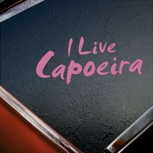   Capoeira Pink Decal Car Truck Bumper Window Pink Sticker Arts, Crafts