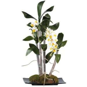 Exclusive By Nearly Natural Cream Yellow Mini Dendrobium w/Rectangle 