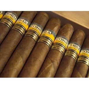  Close Up of Limited Edition Cigars in a Box, Cohiba 