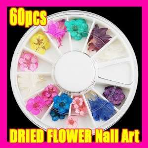    60 X DIY Design Dried Flower Decoration Nail Art 038 Beauty