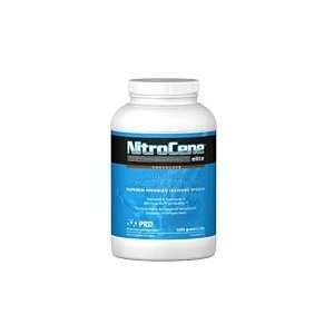  Premier R&D NitroCene Chocolate 1000g Health & Personal 