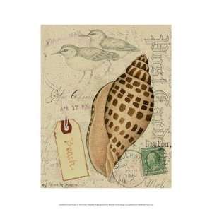   Postcard Shells I   Poster by Nancy Shumaker (9.5x13)