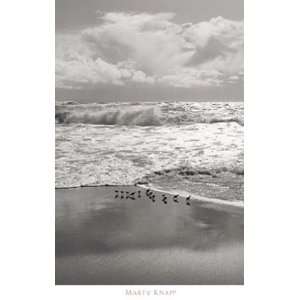  Shorebirds, Point Reyes Finest LAMINATED Print Marty Knapp 