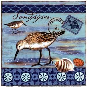  Shorebirds   Sandpiper Finest LAMINATED Print Jennifer 