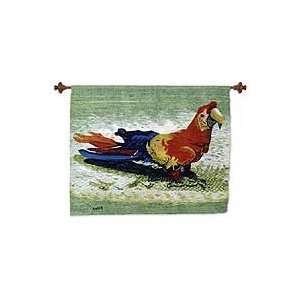  NOVICA Wool tapestry, Happy Macaw