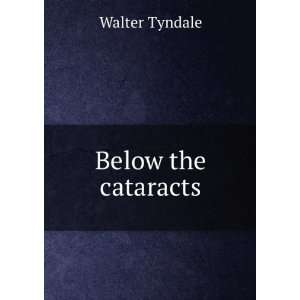  Below the cataracts Walter Tyndale Books