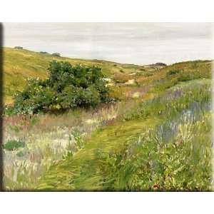  Landscape, Shinnecock Hills 16x13 Streched Canvas Art by 