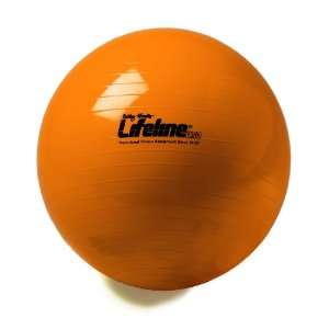  Lifeline USA 45cm Stability Exercise Ball Sports 
