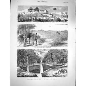 1878 Africa Thomas Island Buffalo Hunting Lopez River  
