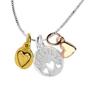 Sterling Silver with14k Gold Plated Tri Color Family with Hearts 