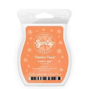  Scentsy Paradise Punch Scentsy Bar