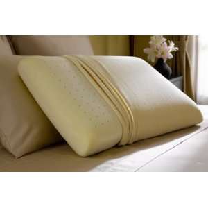  Restful Nights ® Memory Foam Standard Pillow