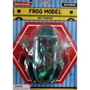  Frog Model See Through Science Kit 