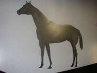 Horse Mare Stud Mustang Sign Wall Steel Metal Art  