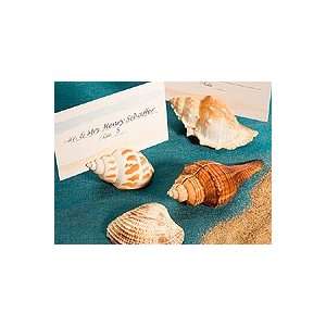  Shell Design Place Card Holders