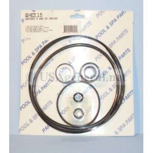  Jacuzzi R & RCGasket & O Ring Kit Go Kit 15 with Small 