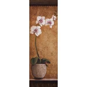    Hannas Orchids I   Poster by Susan Osborne (12x36)