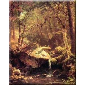   Brook 13x16 Streched Canvas Art by Bierstadt, Albert