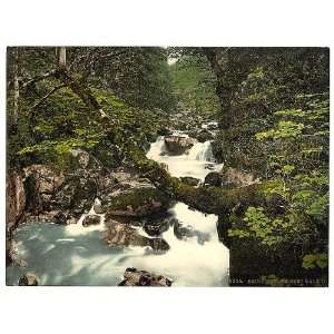  Torrent Walk II,Dolgelly (i.e. Dolgellau),Wales,c1895 