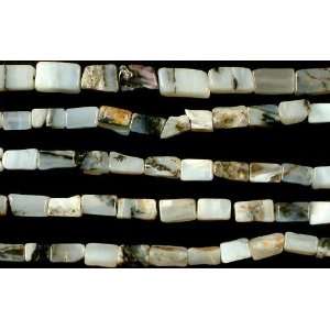  Dendrite Opal Rectangles   