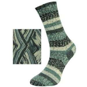   Marathon Socks   North Pole Yarn 317 Balsam Fir Arts, Crafts & Sewing