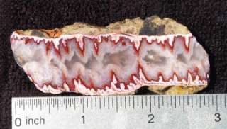 Slab FOREST FIRE PLUME agate   vivid red/white  