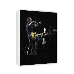  Bruce Springsteen   Canvas   Medium   30x45cm