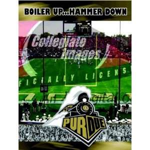  R and R Imports Inc. PZ PU Purdue Boilermakers 550 piece 