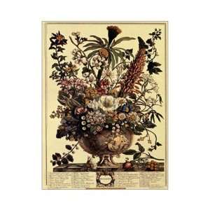  Twelve Months of Flowers, 1730/December   Poster by 