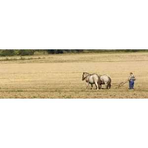  Horse Working in the Field   Peel and Stick Wall Decal by 