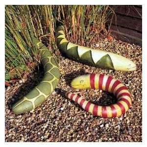  Ornamental Gourd Snakes SEEDS **Not edible** Patio 