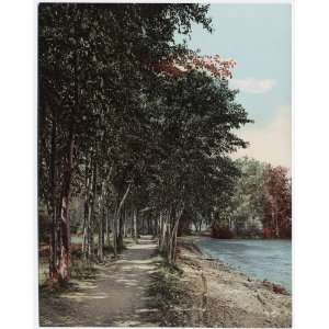 Reprint Shore Path at Huletts, Lake George, N.Y 1904 