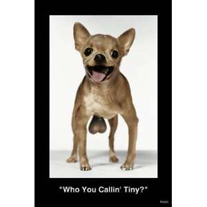   (Who You Callin Tiny?) Humor Poster Print 24 X 36