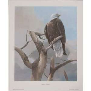  Mario Fernandez   America, America   Bald Eagle