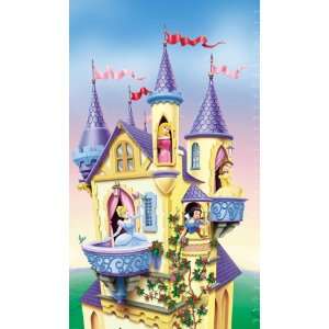  Disney Princess Castle Growth Chart